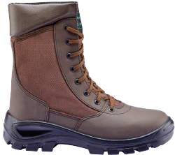 Paramilitary