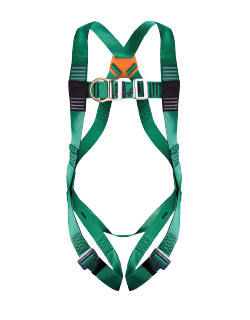 2-Point Harness