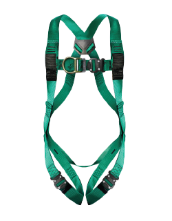 2-Point Pro Harness