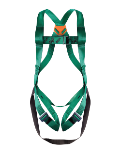 Full Body Harness (Standing Step)
