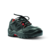 Falcon Shoe Black