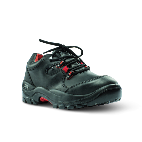 Falcon Shoe