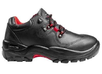 Falcon Shoe